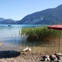 Sommer am Wolfgangsee_4